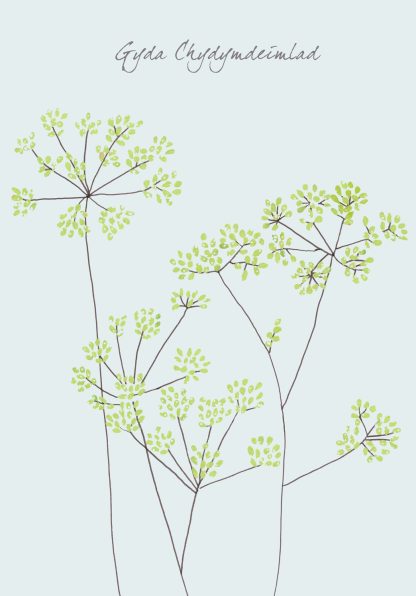 Fennel Gyda Chydymdeimlad (Sympathy)