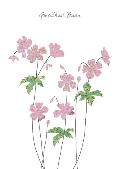 Geraniums Gwellhad Buan