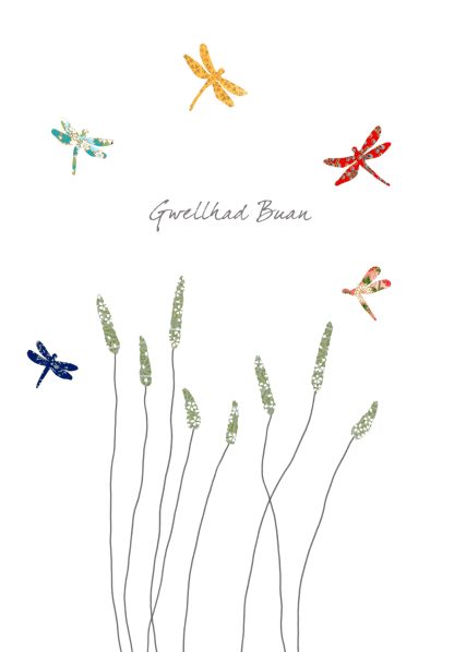 Dragonflies & Grass Gwellhad Buan
