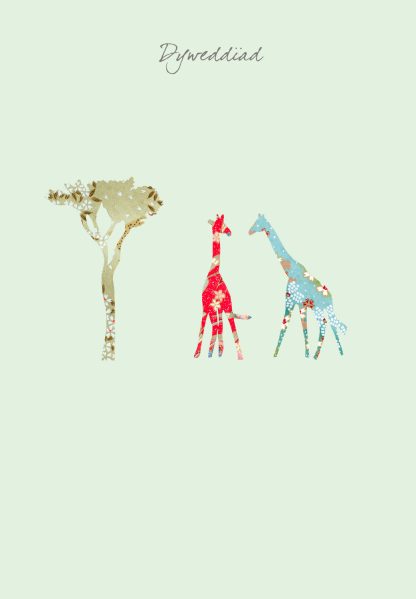 Two Giraffes Dyweddiad