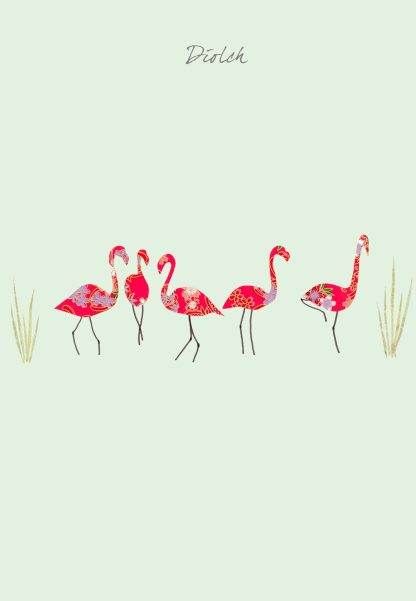 Flamingos Diolch