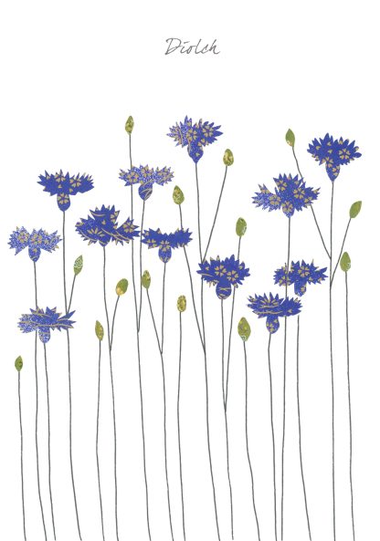 Cornflowers Diolch (Thank you)