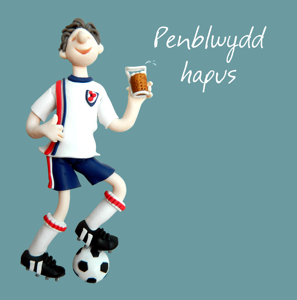 Welsh football fan birthday Welsh football fan birthday