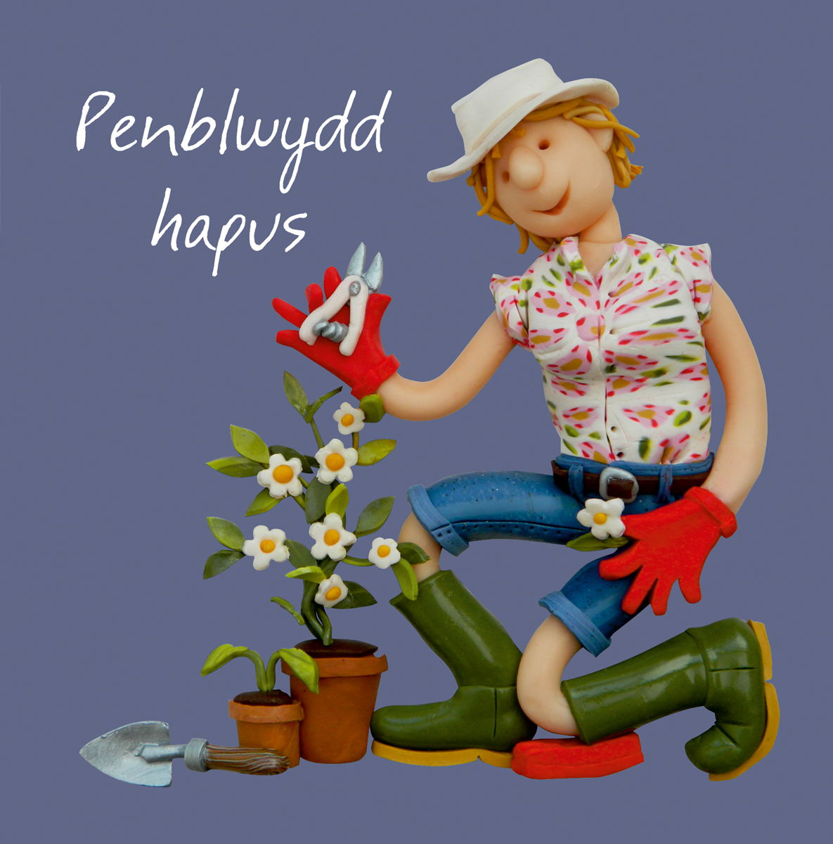 Welsh gardening birthday (female) Welsh gardening birthday (female)