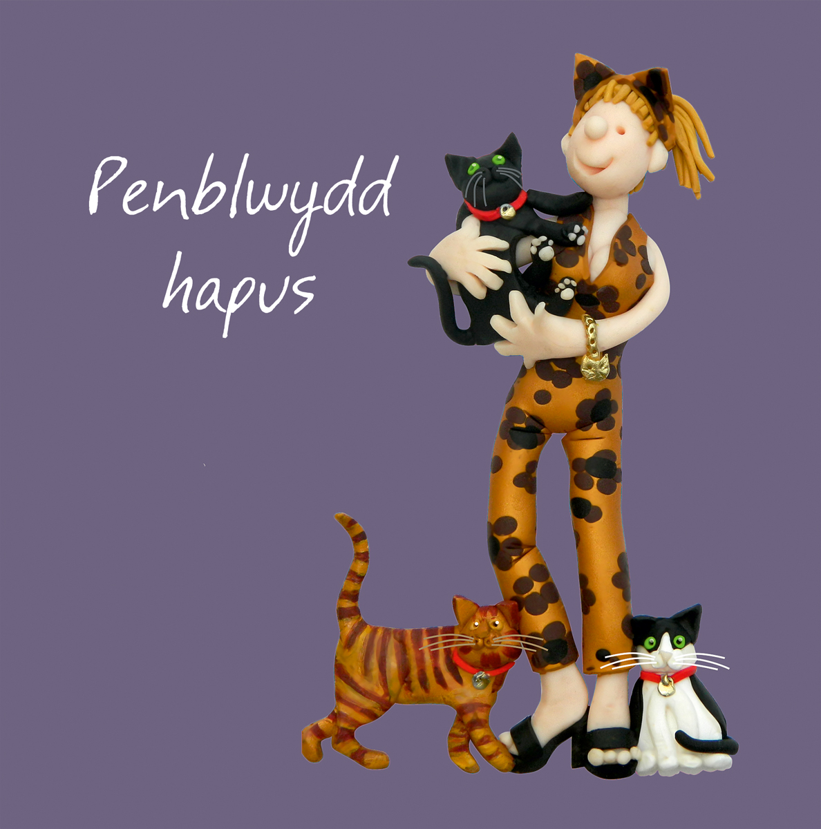 Welsh cat lover birthday Welsh cat lover birthday