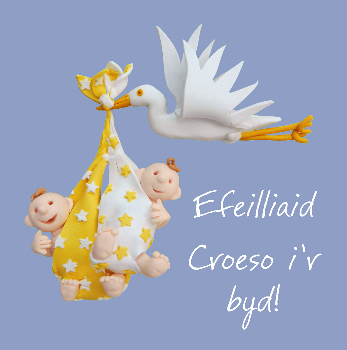 Welsh new twins card Welsh new twins card
