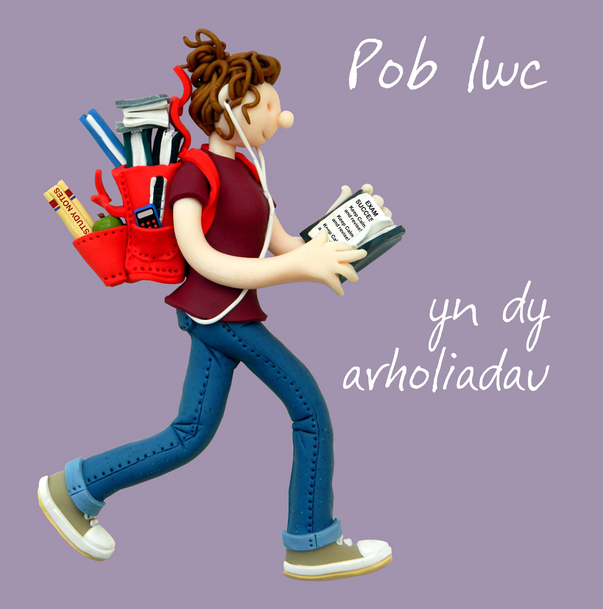 Welsh exam good luck card for her Welsh exam good luck card for her