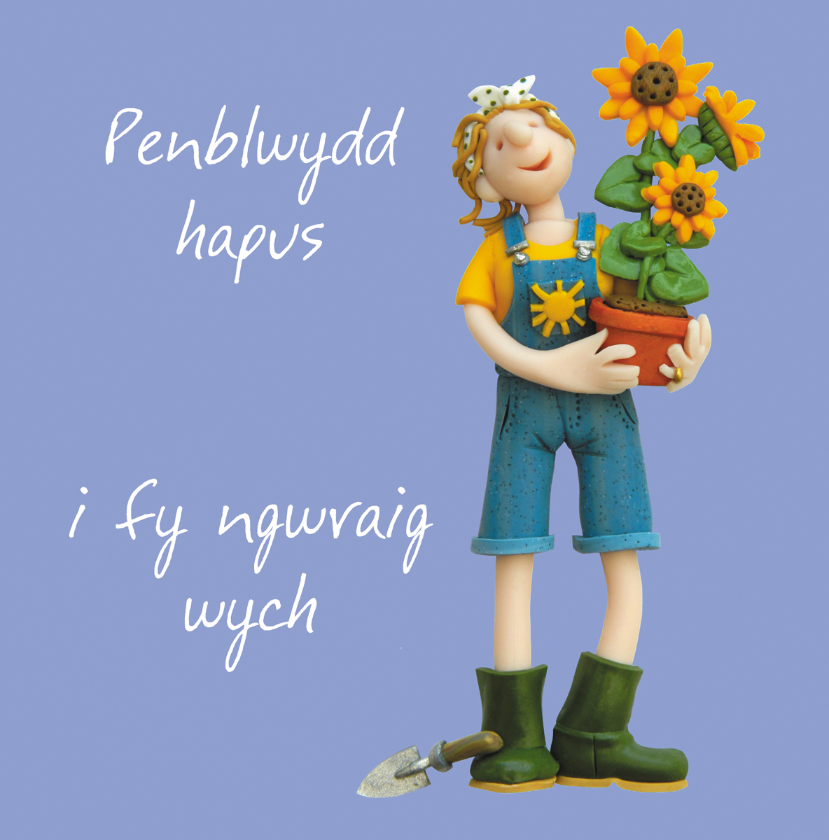Welsh wife birthday card Welsh wife birthday card