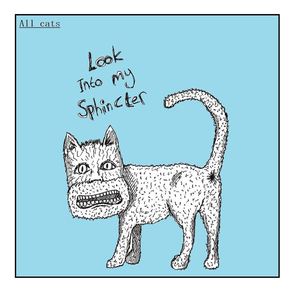 All cats card All cats card